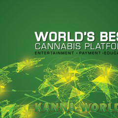 kannaWorld-website-ad-KannaWorld
