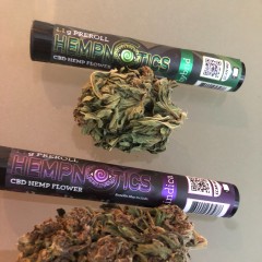 Hempnotics Pre roll