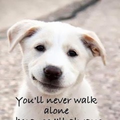 love-dog-motivational-quotes