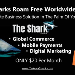 Tokova_Shark_Roam Free